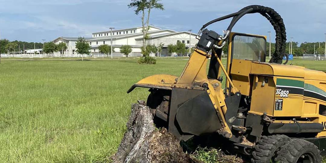 Stump grinder grinding a tree