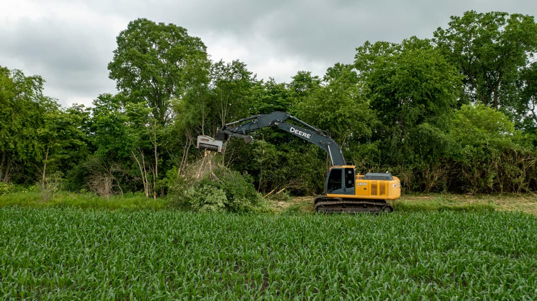 Tree harvester cutting down a tree